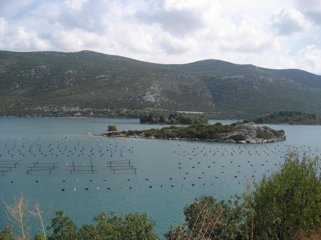 Holiday Home Villa Pindo Ston Bagian luar foto